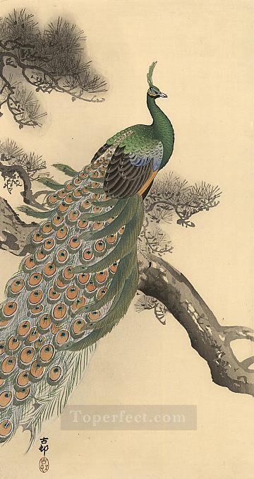 peacock 1 Ohara Koson Shin hanga Oil Paintings